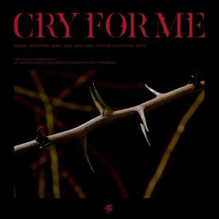 【TWICE】Cry For Me