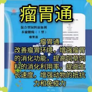 牛常发生瘤胃酸中毒，养牛户应如何进行防治？