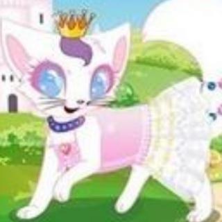 公主的猫