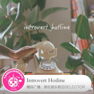 Introvert Hotline·糖蒜爱音乐之The Selector