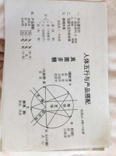 人體五行與產(chǎn)品搭配