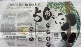 Panda life in the US(read by Rebecca)