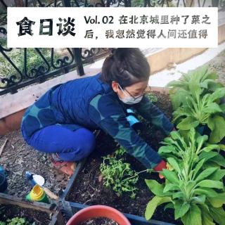 Vol.02 在北京城里种了六年菜，我觉得人间值得 | 都市农夫