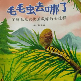 毛毛虫🐛去哪了