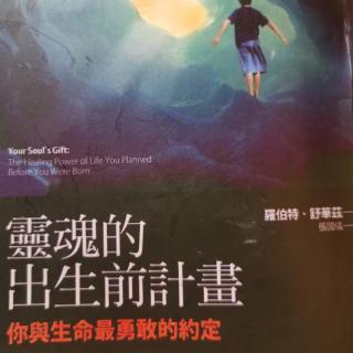 《灵魂的出生前计划》