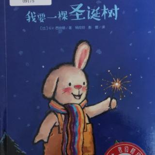 折耳兔——我要一颗圣诞树🎄