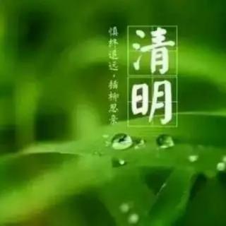 配乐诗朗诵：春  雨   作者——王晶明