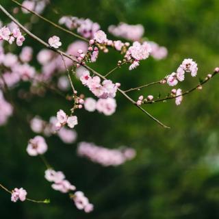 《做人要多铺路少砌墙》