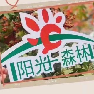 阳光森林——清洁身体8