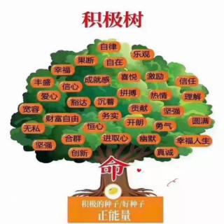 家长成长课堂：家长情绪好，孩子学习好(92)