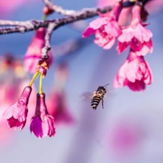 芳菲四月，与所有美好相遇