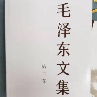 关于战略计划和将来行动的意见