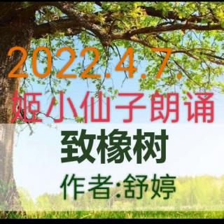 姬小仙子朗诵:《致橡树》作者:舒婷~2022.4.7.