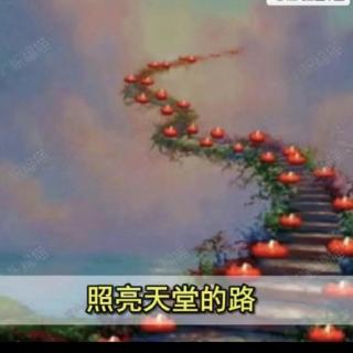 《清明节抒怀》作者：赵修起  诵读：玫瑰伊人