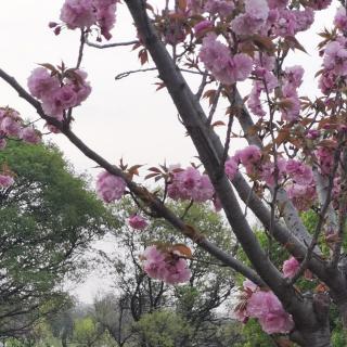 摘自董卿《诗词大会》开场白