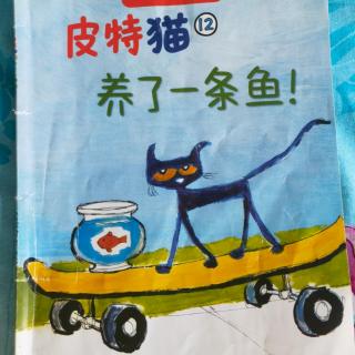 皮特猫养了一条鱼