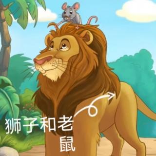 《狮子🦁和老鼠🐭》