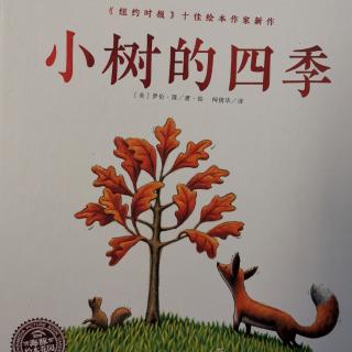 Lily老师讲故事——《小树的四季》