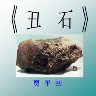 《丑石》作者：贾平凹