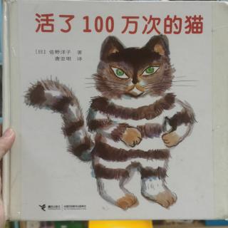 活了100万次的猫