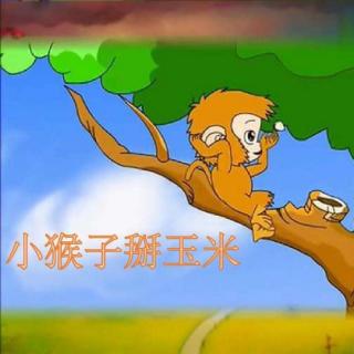 《小猴子掰玉米》