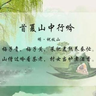 首夏山中行吟

祝允明 〔明代〕