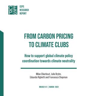 Vol 46 . 实现气候中和：碳定价机制和气候俱乐部的各自角色