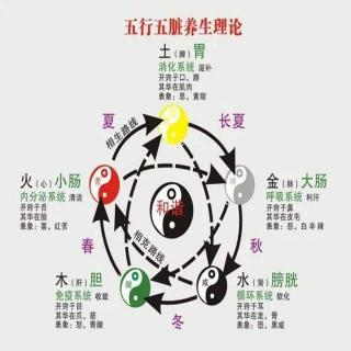 中医五脏养生11