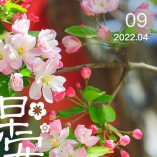 2022.4.9《易经》困卦至归妹卦 第一遍