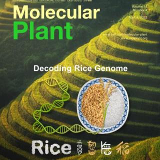 “水稻基因组研究”20周年纪念专刊,再次为水稻基因组点赞！