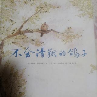 《不会滑翔的鸽子》下集