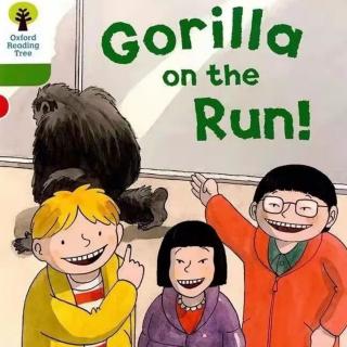 Gorilla on the Run