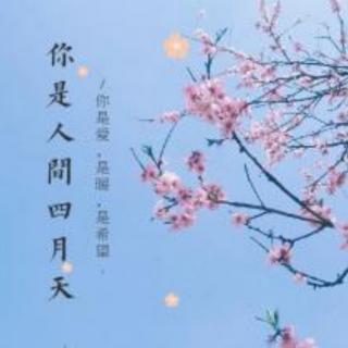 《你是人间四月天》作者：林徽因