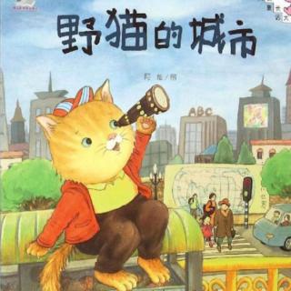 《野猫的城市》