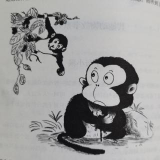 3.1—徐茂哲—《伊索寓言》之《猴子和小猴》故事及启示