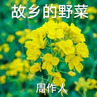 《故乡的野菜》周作人