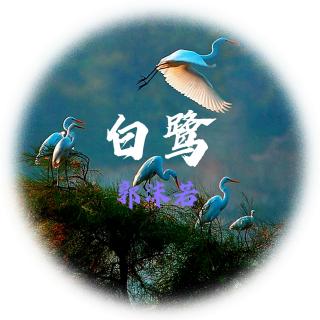 白  鹭    郭沫若