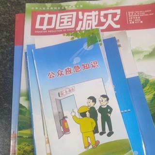 着力解决“两不愁三保障”突出问题