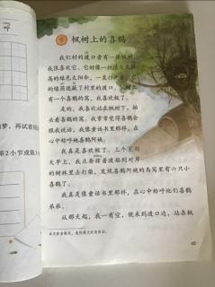二年级语文下册第45页《枫树上的喜鹊》