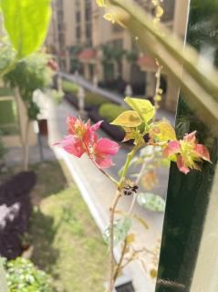 雨后天