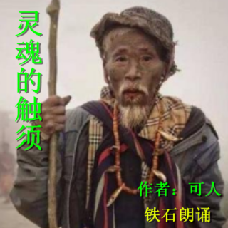 《灵魂的触须》可人