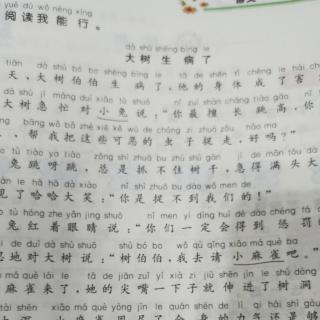 大树生病