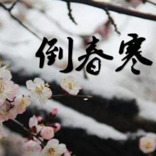 《倒春寒》赵雪琳