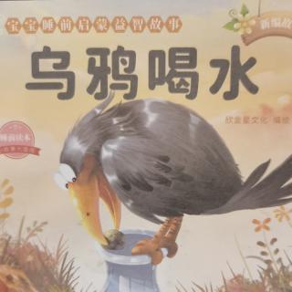 乌鸦喝水