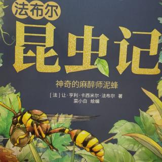 神奇的麻醉师泥蜂