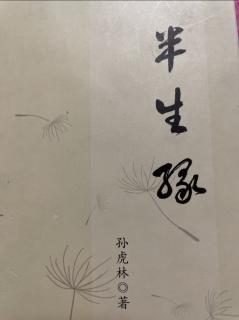 孙虎林著《半生缘》老宅（2）