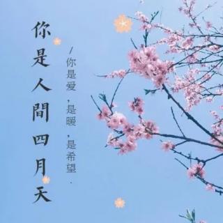 《你是人间的四月天》作者/林徽因