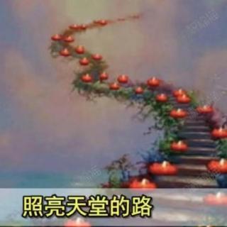 《铭记5月8日》作者：雷金钟  诵读：玫瑰伊人