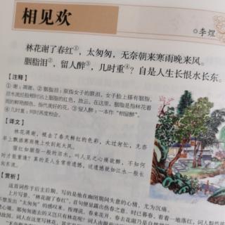 相见欢  李煜    林花谢了春红