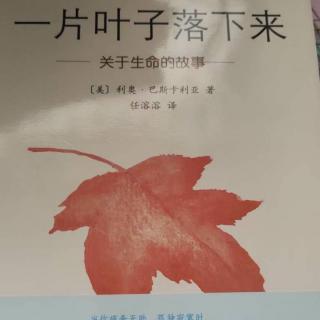 一片叶子落下来